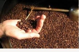 LỚP RANG XAY CÀ PHÊ CƠ BẢN (ROASTING-BASIC)